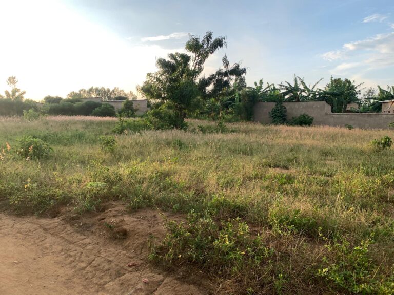 Rwanda Plot 16M RW