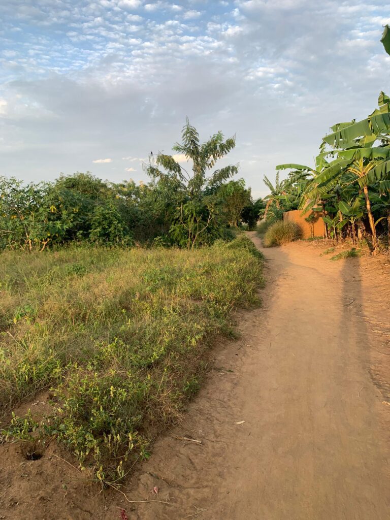 Plot for sale Ni 1223 Sqm Bugesera,Rilima, 
Nyabagendwa 
Dushakamo africanpropertys.com
