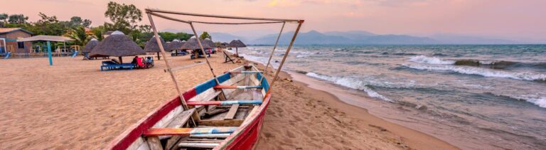 What are experts say the housing market is heading in Africa?